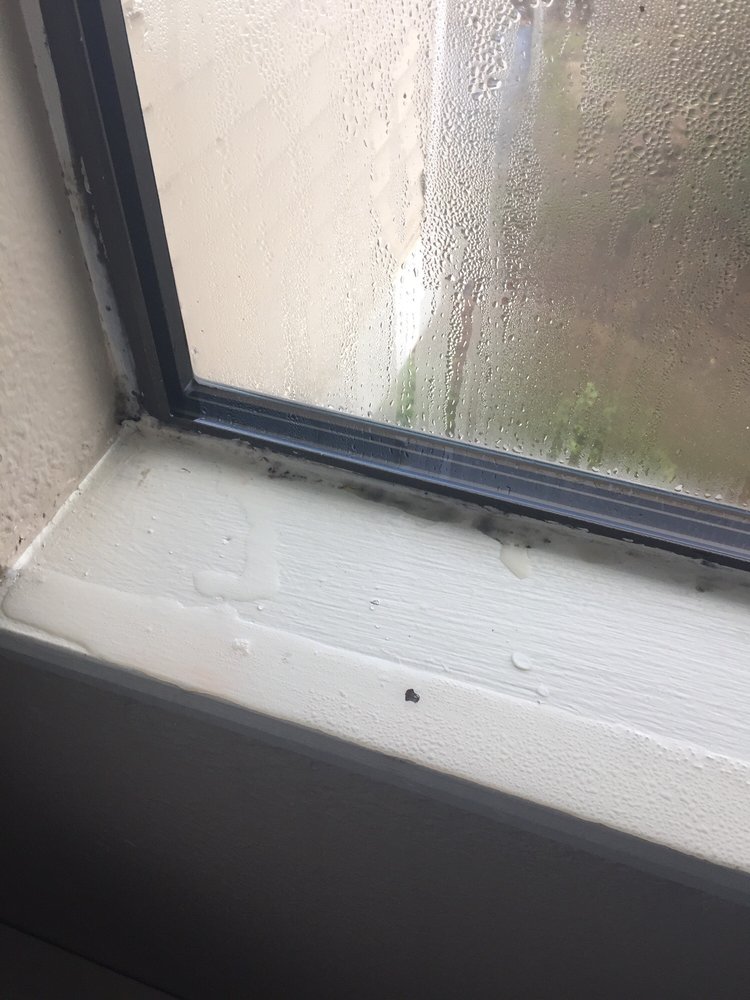 WILLOW TERRACE 1100 S 99th St, Seattle, Washington Apartments