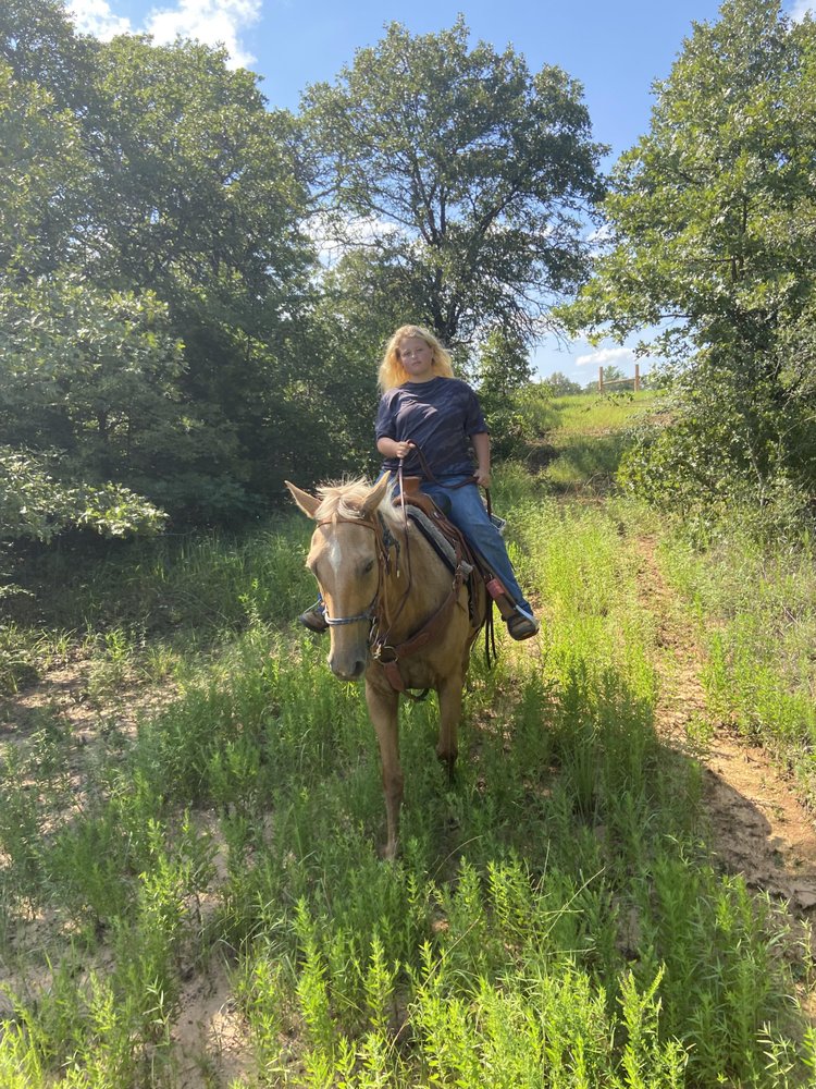 Ktranch Horse training and Farrier service - equestrian in Paden, OK