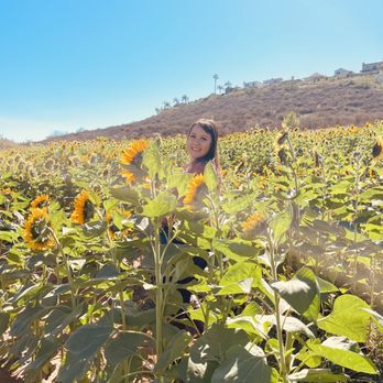 Pumpkin Station - Farms Near Me - Escondido, California