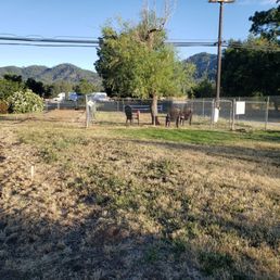 Dog park Dog park