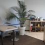 Pinewood Hand Therapy