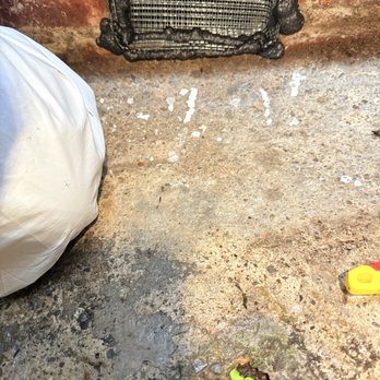 Shield insulation & Pest L&D - After - Pest Control Near Me Shield insulation & Pest L&D - After - Pest Control Near Me