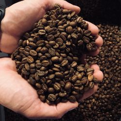 Freshly roasted coffee