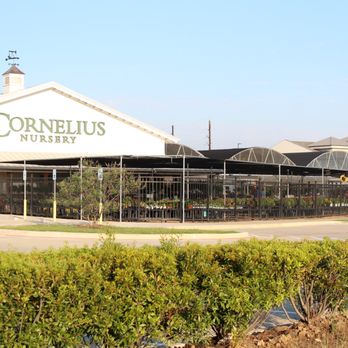 Cornelius Nursery - Nurseries & Gardening Near Me - Katy, Texas