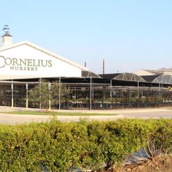 Cornelius Nursery