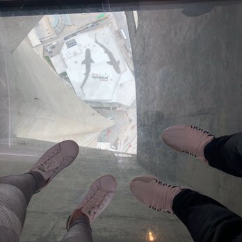 CN Tower - Landmarks & Historical Buildings Near Me - Toronto, Ontario