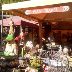 Plant trader - Trinkets, plants and fountains!