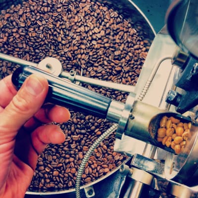 Noble Coyote Coffee Roasters by null