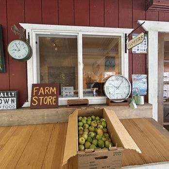 EARTHseed Farm - Farm Store - Pick Your Own Farms Near Me - Sebastopol, California EARTHseed Farm - Farm Store - Pick Your Own Farms Near Me - Sebastopol, California