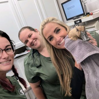 Walker Valley Veterinary Hospital - Duck Days!! - Veterinarians Near Me - Walker Valley, New York Walker Valley Veterinary Hospital - Duck Days!! - Veterinarians Near Me - Walker Valley, New York