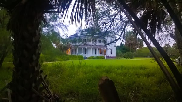 Sabal Palm Sanctuary by null
