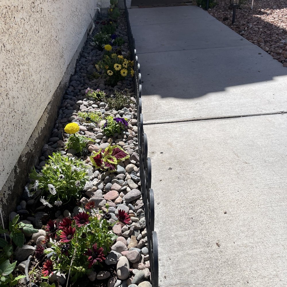 AAA Landscaping - New flowers and irrigation set up here. - Landscaping Near Me - Henderson, Nevada AAA Landscaping - New flowers and irrigation set up here. - Landscaping Near Me - Henderson, Nevada