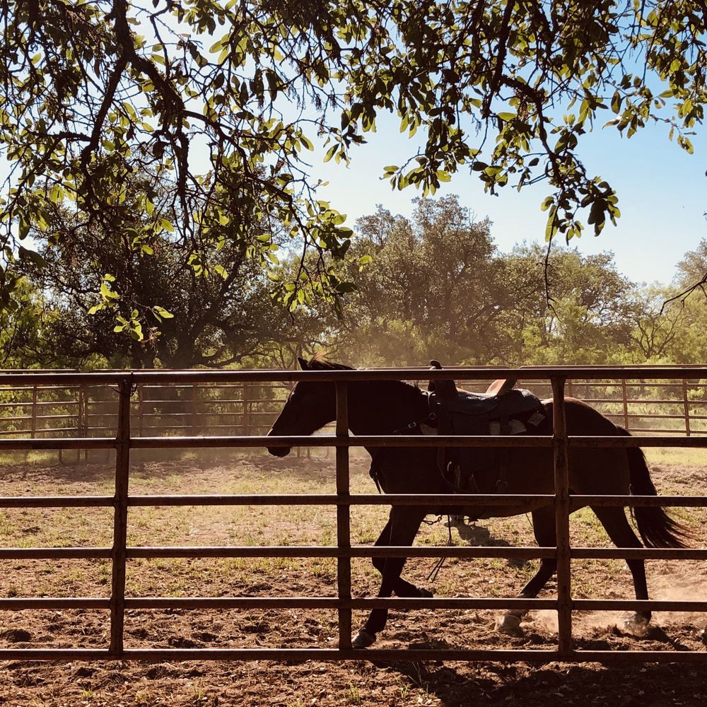 Social spots from Horseback Riding With Kat
