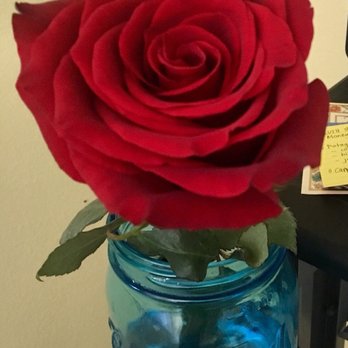 Riley's Flowers - Bought this rose from Riley's - Florists Near Me - Santa Barbara, California Riley's Flowers - Bought this rose from Riley's - Florists Near Me - Santa Barbara, California
