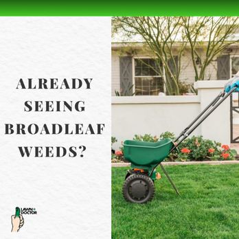 Lawn Doctor - Book your Free Lawn Evaluation NOW! - Pest Control Near Me - Clermont, Florida Lawn Doctor - Book your Free Lawn Evaluation NOW! - Pest Control Near Me - Clermont, Florida
