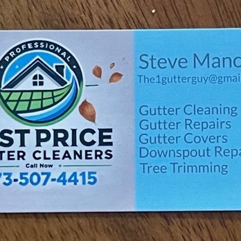 Best Price Gutter Clean - business card (perfect design!) - Gutter Services Near Me - Chicago, Illinois