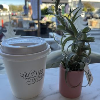 Wolf's Brew Coffee - Maple latte and adorable air plant - Coffee & Tea Near Me - Long Beach, California