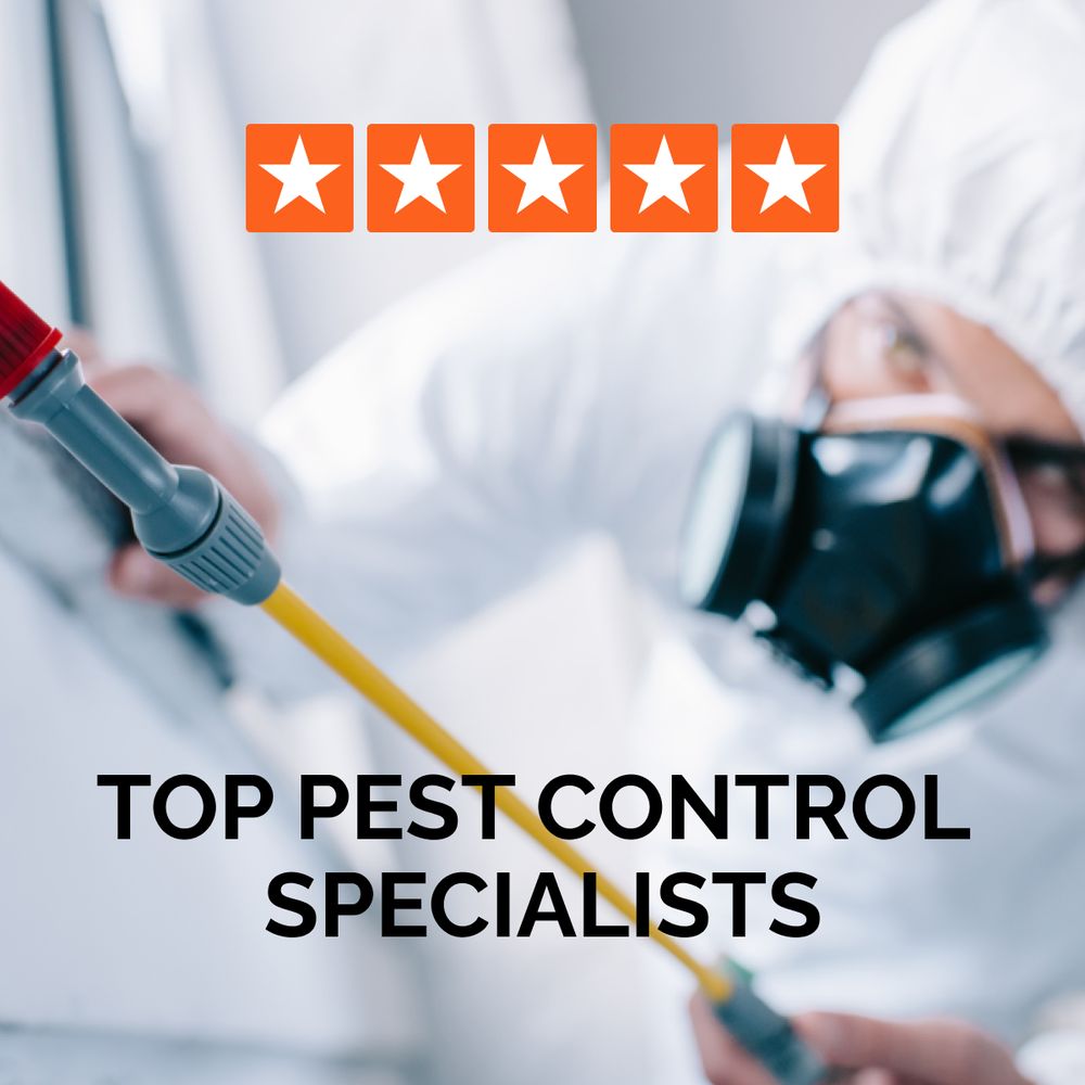 BITE THE DUST PEST CONTROL 18 Photos & 22 Reviews 8285 E Santa Ana