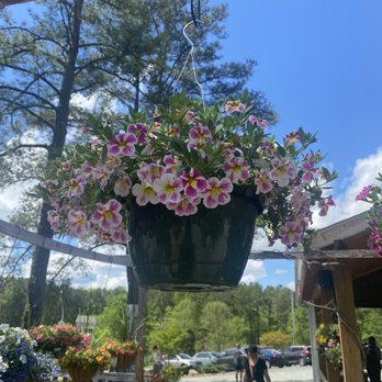 For Garden's Sake - Nurseries & Gardening Near Me - Durham, North Carolina For Garden's Sake - Nurseries & Gardening Near Me - Durham, North Carolina
