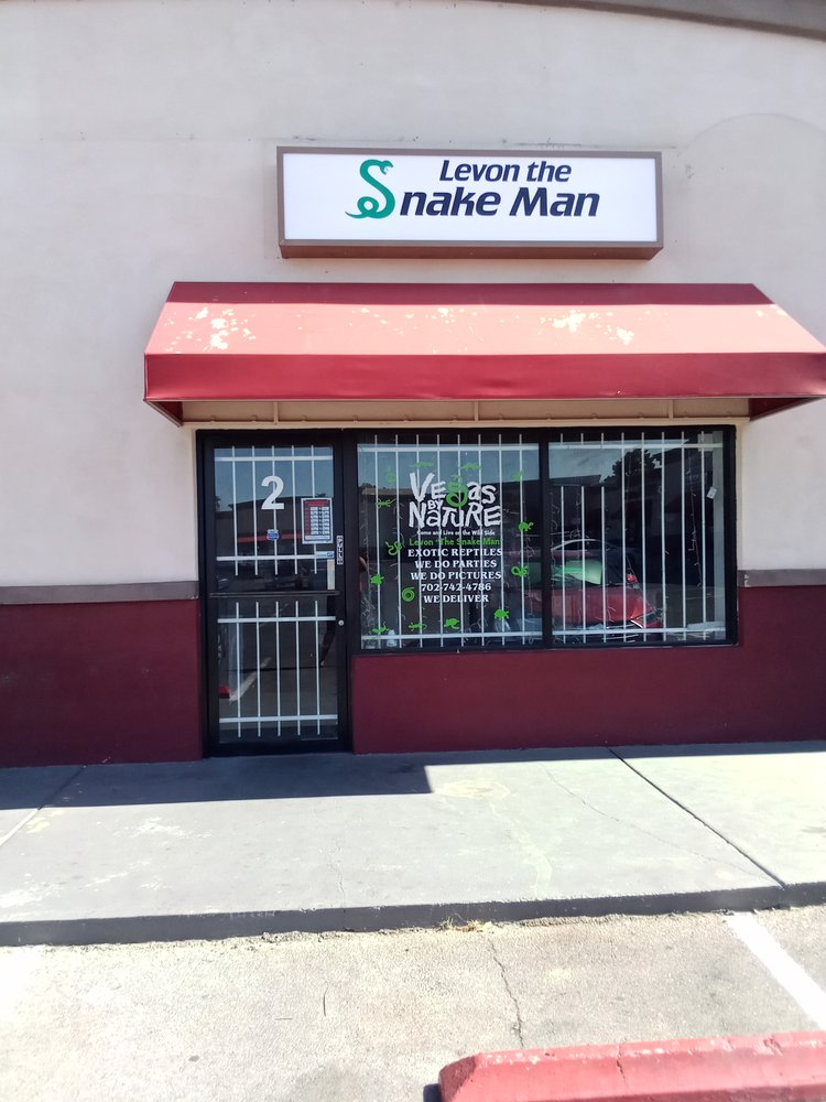 THE SNAKE MAN REPTILE SHOP - Request Information - 821 N Lamb Blvd, Las