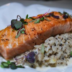 Cattle Ranch Cafe - Faroe Island Salmon with Truffle Risotto, a symphony of flavors waiting to be savored.Reserve your table today!