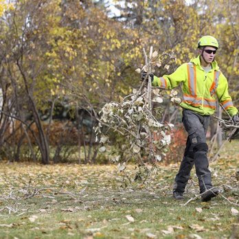 Duncan Tree - Tree Services Near Me - Spring Valley, California Duncan Tree - Tree Services Near Me - Spring Valley, California