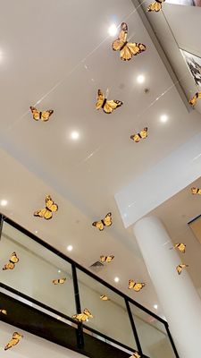 Reynolda House Museum of American Art by null