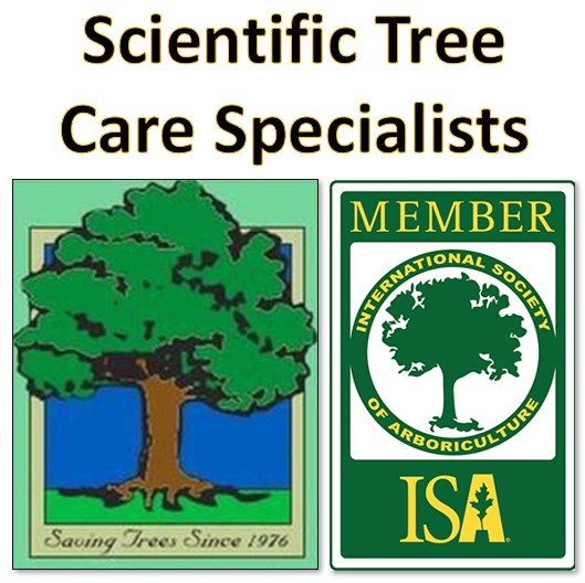 Scientific Tree Care Specialists - tree service in Albuquerque, NM