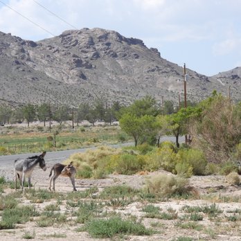 The Goldwell Open Air Museum - Walking Tours Near Me - Beatty, Nevada