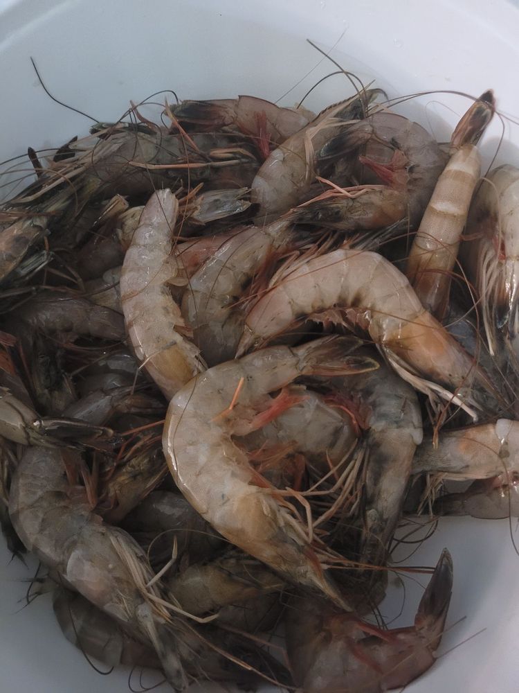 Sandy's Seafood Logo