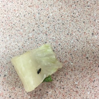 Wendy's - a piece of lettuce with a fly on it - Burgers Near Me - Sherman, Texas Wendy's - a piece of lettuce with a fly on it - Burgers Near Me - Sherman, Texas