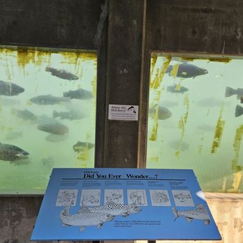 DC Booth Historic Fish Hatchery - Fish! - Museums Near Me - Spearfish, South Dakota DC Booth Historic Fish Hatchery - Fish! - Museums Near Me - Spearfish, South Dakota