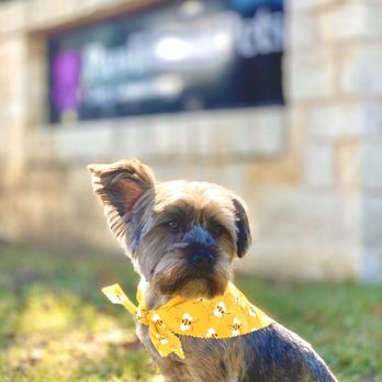 Pawlished Pets - Pet Groomers Near Me - Boyd, Texas Pawlished Pets - Pet Groomers Near Me - Boyd, Texas