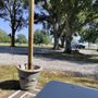 Photo of Pecan Ridge RV Park