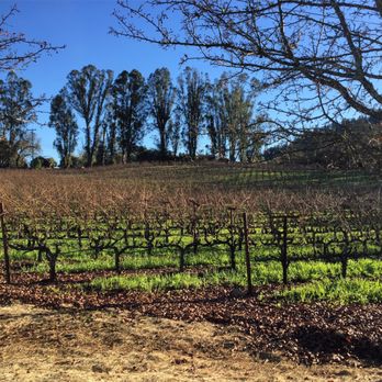 Trinchero Napa Valley - TNV vineyards - Wineries Near Me - St Helena, California Trinchero Napa Valley - TNV vineyards - Wineries Near Me - St Helena, California