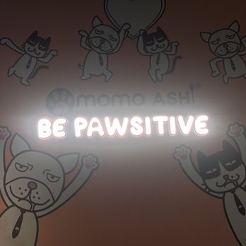 Momo Ashi - Bubble Tea Near Me - Bayside, New York Momo Ashi - Bubble Tea Near Me - Bayside, New York