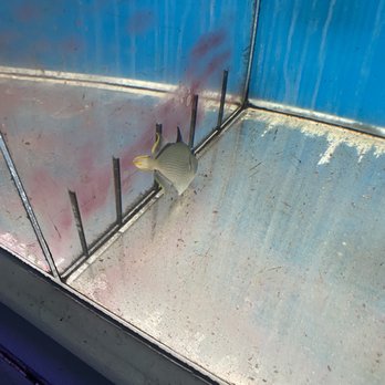 RMS Aquaculture - Struggling to stay alive - Local Fish Stores Near Me - Cleveland, Ohio