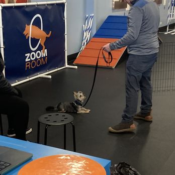 Zoom Room Dog Training - Littleton - Puppy Training - Pet Training Near Me - Littleton, Colorado Zoom Room Dog Training - Littleton - Puppy Training - Pet Training Near Me - Littleton, Colorado