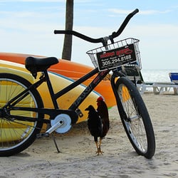 Eaton Bikes - A bike, a beach, a rooster... what's more Key West than that?