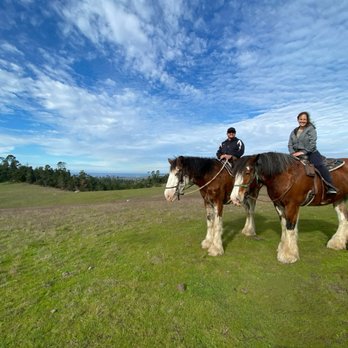 Covells Clydesdale Ranch - Horseback Riding Near Me - Cambria, California