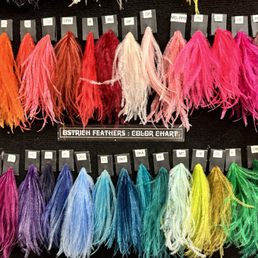 Color variation of ostrich feathers Color variation of ostrich feathers