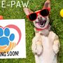Photo of Give Me-Paw