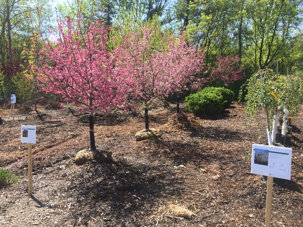 SUPERIOR WHOLESALE LANDSCAPE SUPPLY AND NURSERY Updated July 2024