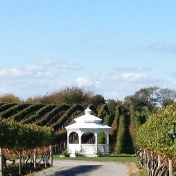 Pellegrini Vineyards - Gazebo with rollings vineyard view - Wineries Near Me - Cutchogue, New York Pellegrini Vineyards - Gazebo with rollings vineyard view - Wineries Near Me - Cutchogue, New York