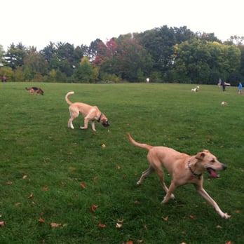 Currie Dog Park - Dog Parks Near Me - Wauwatosa, Wisconsin Currie Dog Park - Dog Parks Near Me - Wauwatosa, Wisconsin