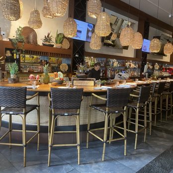 Jaguar Restaurant - Coconut Grove - Bar seating - Latin American Near Me - Miami, Florida Jaguar Restaurant - Coconut Grove - Bar seating - Latin American Near Me - Miami, Florida