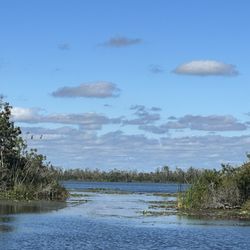 Airboat Rides Unlimited - Airboat trip