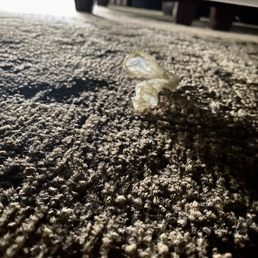 Used condom under our 'clean' bed in our 'clean' room we just got in. We paid extra for the 'upgraded' room they said.