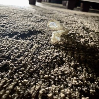 Fourwinds Lakeside & Marina - Used condom under our 'clean' bed in our 'clean' room we just got in. We paid extra for the 'upgraded' room they said. - Resorts Near Me - Bloomington, Indiana