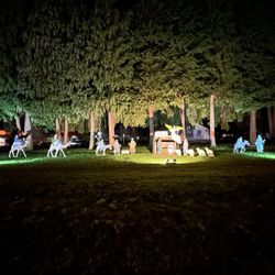 Memorial Park - 12/19/25 Nativity scene